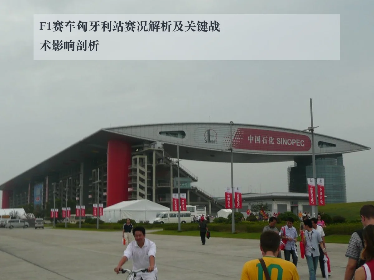F1赛车匈牙利站赛况解析及关键战术影响剖析